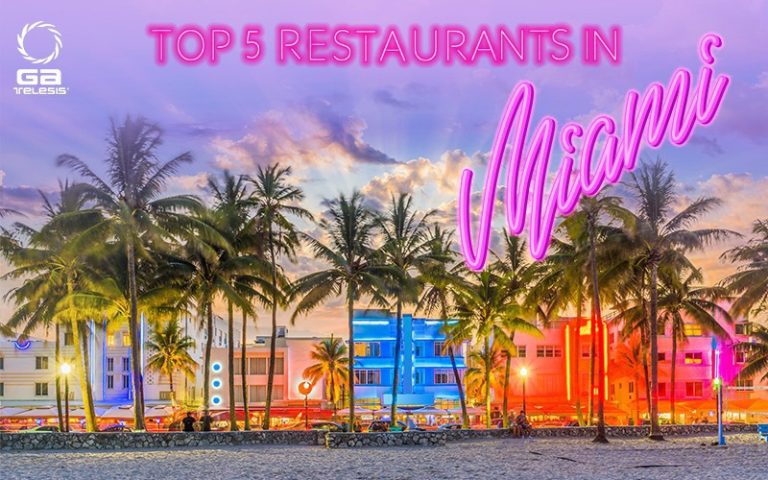 Top 5 Restaurants in Miami You Don’t Want to Miss