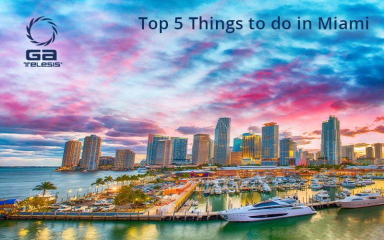 Top 5 Things to Do in Miami